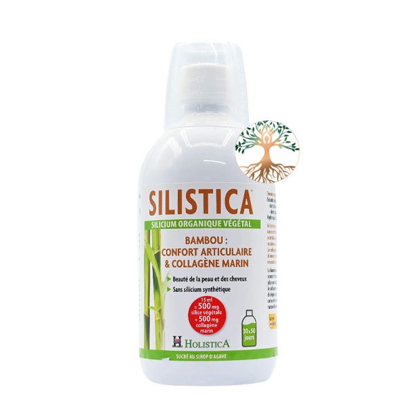 silistica-herberie-produit-bien-etre-bambou-confort-articulation-articulaire-reminéralisant-arthrose-arthrite