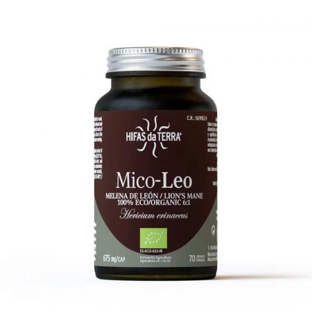 Mico-Leo-2024-hericium-crinière-de-lion